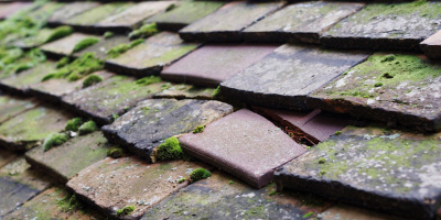 Cambridgeshire roof repair costs